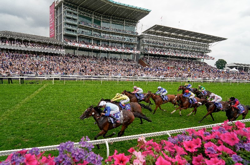 York races