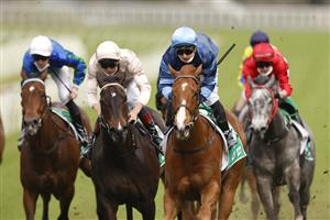 SYDNEY, AUSTRALIA - SEPTEMBER 04: James Innes Jnr on Jerry wins race 1 the TAB Highway Handicap during Sydney Racing at Royal Randwick Racecourse on September 04, 2021 in Sydney, Australia. (Photo by Mark Evans/Getty Images)