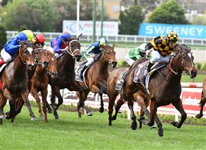 MELBOURNE, AUSTRALIA - SEPTEMBER 04: Brett Prebble riding Zouzarella winning race 6, the 3 Point Motors Atlantic Jewel Stakes, during Melbourne Racing at Moonee Valley Racecourse on September 04, 2021 in Melbourne, Australia. (Photo by Vince Caligiuri/Getty Images)