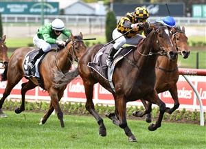 MELBOURNE, AUSTRALIA - SEPTEMBER 04: Brett Prebble riding Zouzarella winning race 6, the 3 Point Motors Atlantic Jewel Stakes, during Melbourne Racing at Moonee Valley Racecourse on September 04, 2021 in Melbourne, Australia. (Photo by Vince Caligiuri/Getty Images)