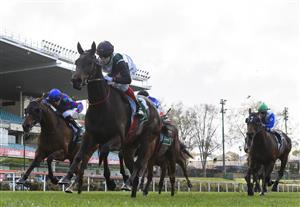 MELBOURNE, AUSTRALIA - SEPTEMBER 04: Craig Williams riding Mr Brightside winning Race 2, the Drummond Golf Handicap during Melbourne Racing at Moonee Valley Racecourse on September 04, 2021 in Melbourne, Australia. (Photo by Vince Caligiuri/Getty Images)