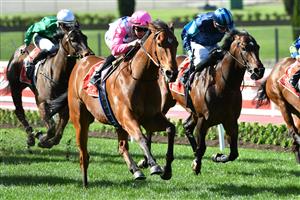 MELBOURNE, AUSTRALIA - SEPTEMBER 04: Damian Lane riding The Inferno winning race 5, the Mitty's McEwen Stakes during Melbourne Racing at Moonee Valley Racecourse on September 04, 2021. (Getty)