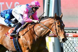 MELBOURNE, AUSTRALIA - SEPTEMBER 04: Damian Lane riding The Inferno winning race 5, the Mitty's McEwen Stakes during Melbourne Racing at Moonee Valley Racecourse on September 04, 2021. (Getty)