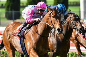 MELBOURNE, AUSTRALIA - SEPTEMBER 04: Damian Lane riding The Inferno winning race 5, the Mitty's McEwen Stakes during Melbourne Racing at Moonee Valley Racecourse on September 04, 2021. (Getty)