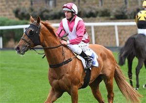 MELBOURNE, AUSTRALIA - SEPTEMBER 04: Damien Oliver riding Superstorm after winning Race 8, the Clamms Seafood Feehan Stakes, during Melbourne Racing at Moonee Valley Racecourse on September 04, 2021 in Melbourne, Australia. (Photo by Vince Caligiuri/Getty Images)
