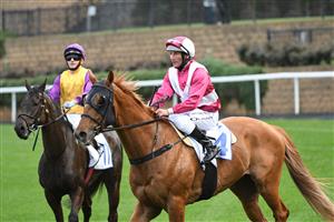 MELBOURNE, AUSTRALIA - SEPTEMBER 04: Damien Oliver riding Superstorm after winning Race 8, the Clamms Seafood Feehan Stakes, during Melbourne Racing at Moonee Valley Racecourse on September 04, 2021 in Melbourne, Australia. (Photo by Vince Caligiuri/Getty Images)