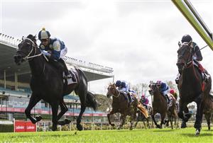 MELBOURNE, AUSTRALIA - SEPTEMBER 04: Daniel Moor riding Forgot You winning Race 1, Pfd Food Services Handicap, during Melbourne Racing at Moonee Valley Racecourse on September 04, 2021 in Melbourne, Australia. (Photo by Vince Caligiuri/Getty Images)