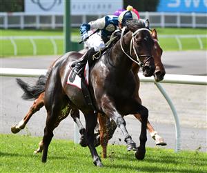 MELBOURNE, AUSTRALIA - SEPTEMBER 04: Daniel Moor riding Forgot You winning Race 1, Pfd Food Services Handicap, during Melbourne Racing at Moonee Valley Racecourse on September 04, 2021 in Melbourne, Australia. (Photo by Vince Caligiuri/Getty Images)