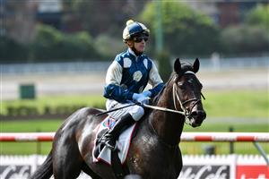 MELBOURNE, AUSTRALIA - SEPTEMBER 04: Daniel Moor riding Forgot You after winning Race 1, Pfd Food Services Handicap, during Melbourne Racing at Moonee Valley Racecourse on September 04, 2021 in Melbourne, Australia. (Photo by Vince Caligiuri/Getty Images)