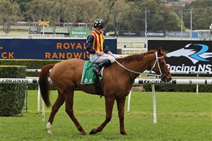 SYDNEY, AUSTRALIA - SEPTEMBER 04: James McDonald on Nature Strip returns to scale after winning race 5 the TAB Concorde Stakes during Sydney Racing at Royal Randwick Racecourse on September 04, 2021 in Sydney, Australia. (Photo by Mark Evans/Getty Images)