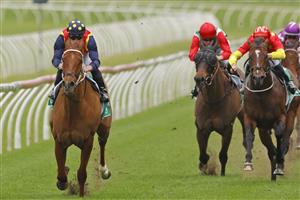 SYDNEY, AUSTRALIA - SEPTEMBER 04: James McDonald on Nature Strip wins race 5 the TAB Concorde Stakes during Sydney Racing at Royal Randwick Racecourse on September 04, 2021 in Sydney, Australia. (Photo by Mark Evans/Getty Images)