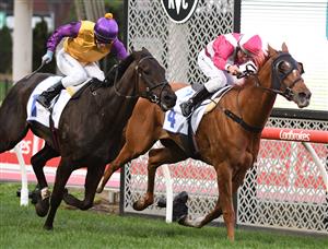 MELBOURNE, AUSTRALIA - SEPTEMBER 04: Damien Oliver riding Superstorm defeats Luke Currie riding Elephant in Race 8, the Clamms Seafood Feehan Stakes, during Melbourne Racing at Moonee Valley Racecourse on September 04, 2021 in Melbourne, Australia. (Photo by Vince Caligiuri/Getty Images)