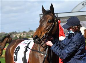 MELBOURNE, AUSTRALIA - SEPTEMBER 04: Degraves after winning Race 4, the Powerflo Solutions Handicap, during Melbourne Racing at Moonee Valley Racecourse on September 04, 2021 in Melbourne, Australia. (Photo by Vince Caligiuri/Getty Images)
