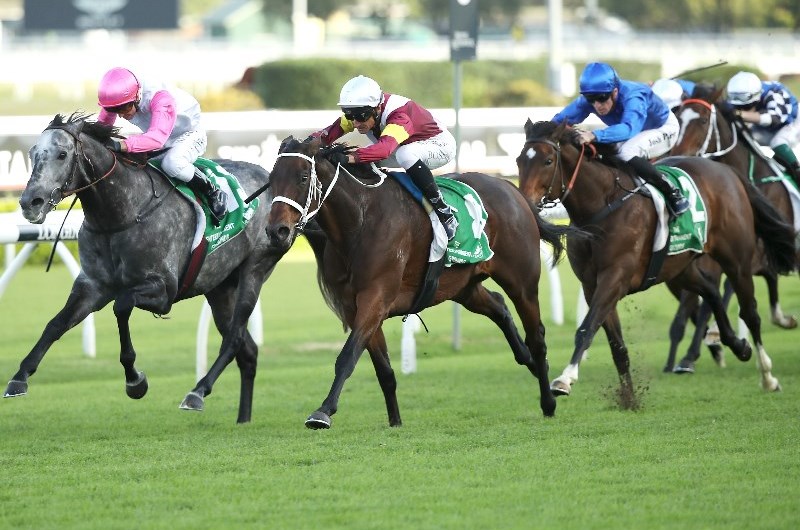 Gosford Tips for 27.08.2021
