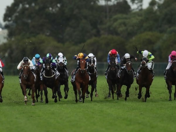 Nine Riders ruled out of Gosford
