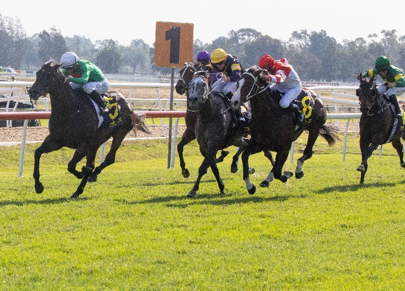 Hawkesbury Tips for 09.09.2021