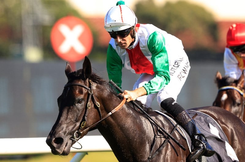 Makybe Diva Stakes Betting Tips