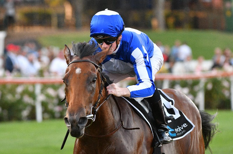 Flemington Betting Tips
