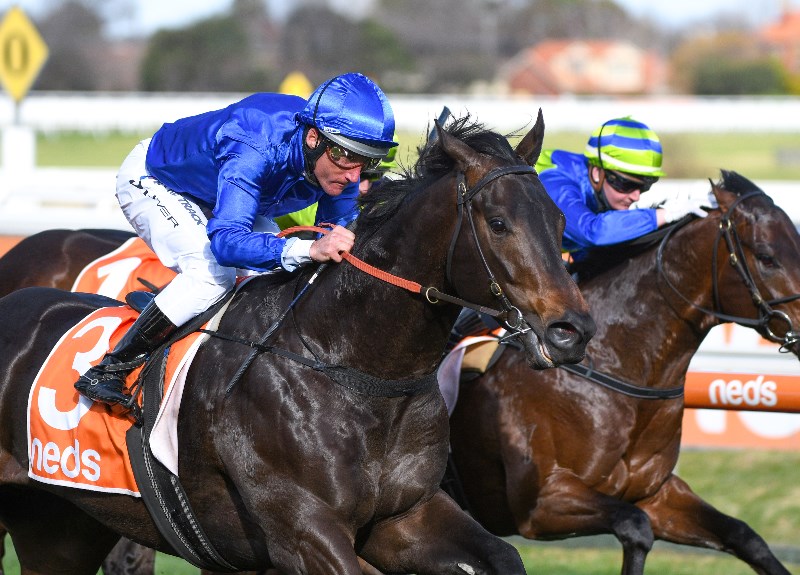 Flemington Special