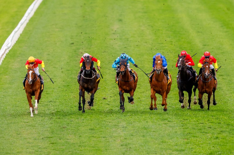 Kembla Grnage Tips for 09.09.2021