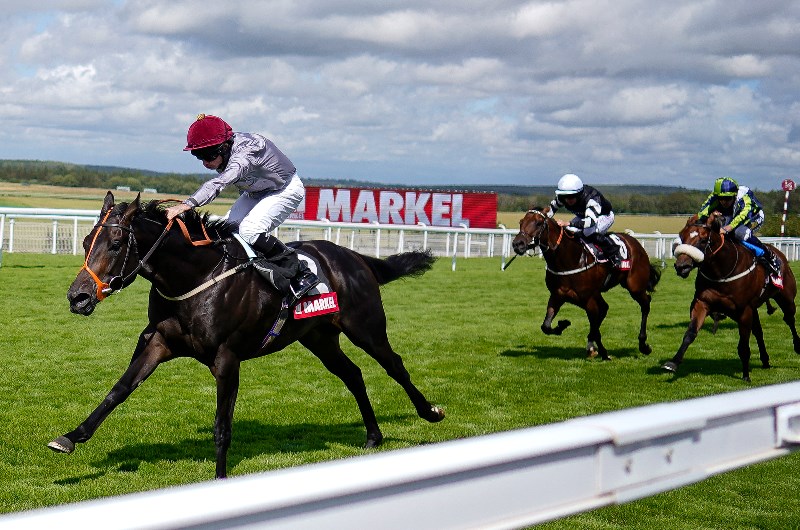 armor goodwood