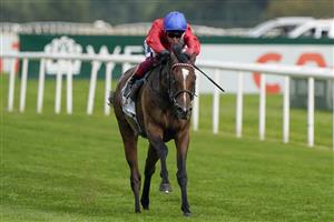 DONCASTER, ENGLAND - SEPTEMBER 09: Frankie Dettori riding Inspiral win The Cazoo May Hill Stakes at Doncaster Racecourse on September 09, 2021 in Doncaster, England. (Photo by Alan Crowhurst/Getty Images)