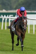 DONCASTER, ENGLAND - SEPTEMBER 09: Frankie Dettori riding Inspiral win The Cazoo May Hill Stakes at Doncaster Racecourse on September 09, 2021 in Doncaster, England. (Photo by Alan Crowhurst/Getty Images)