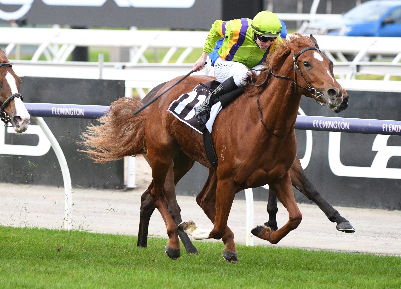 Flemington Tips for 11.09.2021