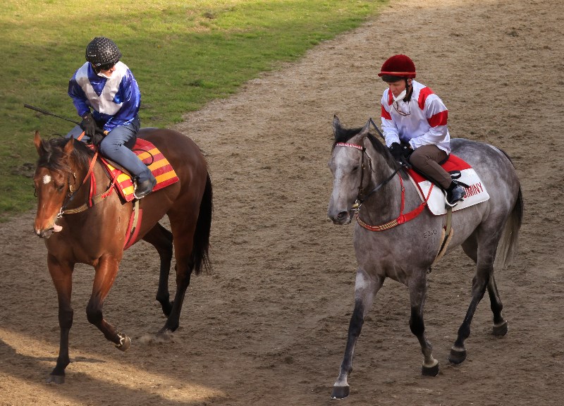 Randwick trial news - September 10