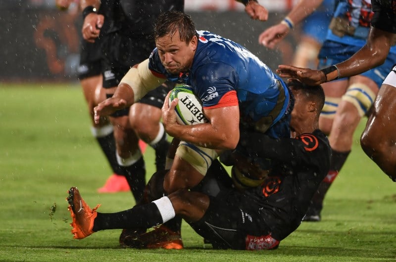 bulls vs sharks