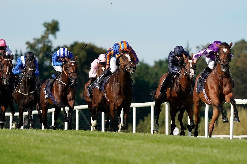 irish champion stakes leopardstown