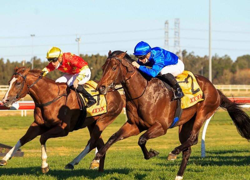 Saturday Blackbookers from September 11