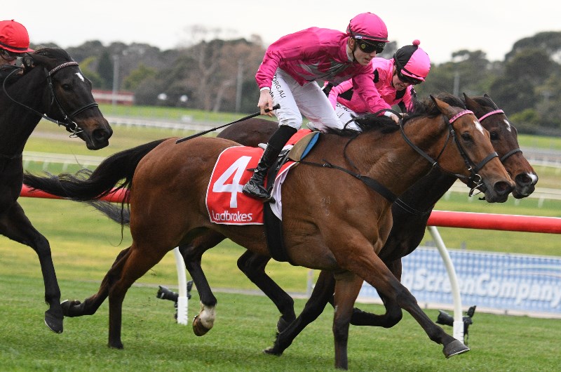 Wangaratta Betting Tips