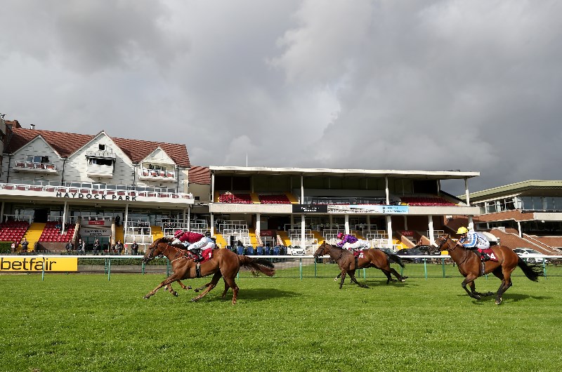 haydock sprint cup
