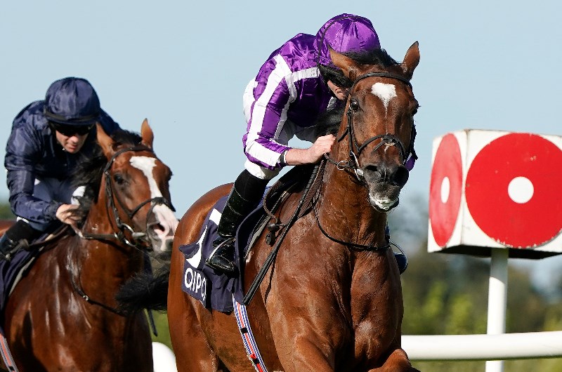 irish champion stakes leopardstown