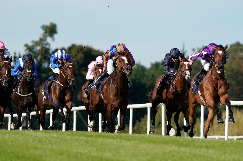 leopardstown stakes