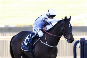 KEMBLA GRANGE, AUSTRALIA - SEPTEMBER 11: Brock Ryan pats Count De Rupee after winning race 9 the Quayclean Handicap during Sydney Racing at Kembla Grange Racecourse on September 11, 2021 in Kembla Grange, Australia. (Photo by Mark Evans/Getty Images)