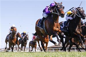 KEMBLA GRANGE, AUSTRALIA - SEPTEMBER 11: Jason Collett on Toomuchtobear wins race 3 the Bowermans Commercial Furniture Handicap during Sydney Racing at Kembla Grange Racecourse on September 11, 2021 in Kembla Grange, Australia. (Photo by Mark Evans/Getty Images)