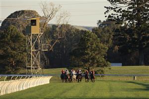 KEMBLA GRANGE, AUSTRALIA - SEPTEMBER 11: Riders at the home turn in race 10 during Sydney Racing at Kembla Grange Racecourse on September 11, 2021 in Kembla Grange, Australia. (Photo by Mark Evans/Getty Images)