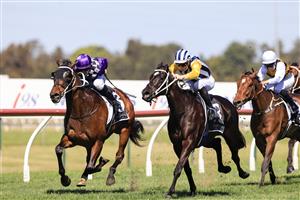 KEMBLA GRANGE, AUSTRALIA - SEPTEMBER 11: Jason Collett on Toomuchtobear wins race 3 the Bowermans Commercial Furniture Handicap during Sydney Racing at Kembla Grange Racecourse on September 11, 2021 in Kembla Grange, Australia. (Photo by Mark Evans/Getty Images)
