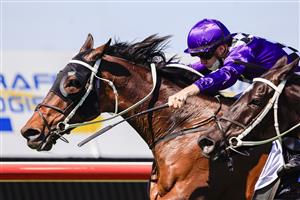 KEMBLA GRANGE, AUSTRALIA - SEPTEMBER 11: Jason Collett on Toomuchtobear wins race 3 the Bowermans Commercial Furniture Handicap during Sydney Racing at Kembla Grange Racecourse on September 11, 2021 in Kembla Grange, Australia. (Photo by Mark Evans/Getty Images)