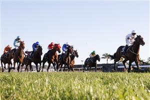 KEMBLA GRANGE, AUSTRALIA - SEPTEMBER 11: Brock Ryan on Count De Rupee wins race 9 the Quayclean Handicap during Sydney Racing at Kembla Grange Racecourse on September 11, 2021 in Kembla Grange, Australia. (Photo by Mark Evans/Getty Images)