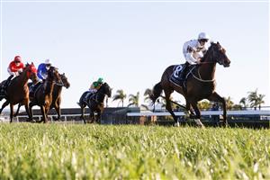KEMBLA GRANGE, AUSTRALIA - SEPTEMBER 11: Brock Ryan on Count De Rupee wins race 9 the Quayclean Handicap during Sydney Racing at Kembla Grange Racecourse on September 11, 2021 in Kembla Grange, Australia. (Photo by Mark Evans/Getty Images)