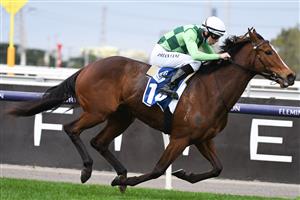 MELBOURNE, AUSTRALIA - SEPTEMBER 11: Damian Lane riding Turaath winning race 6, the Furphy Let's Elope Stakes, during Melbourne Racing at Flemington Racecourse on September 11, 2021 in Melbourne, Australia. (Getty)
