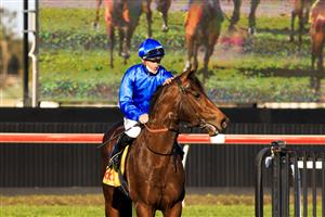 KEMBLA GRANGE, AUSTRALIA - SEPTEMBER 11: James McDonald on Anamoe returns to scale after winning
race 8 the XXXX Run To The Rose during Sydney Racing at Kembla Grange Racecourse on September 11, 2021 in Kembla Grange, Australia. (Photo by Mark Evans/Getty Images)