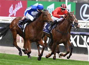 MELBOURNE, AUSTRALIA - SEPTEMBER 11: Jye McNeil riding Crystal Bound winning Race 4, the Cap D'Antibes Stakes, during Melbourne Racing at Flemington Racecourse on September 11, 2021 in Melbourne, Australia. (Getty)