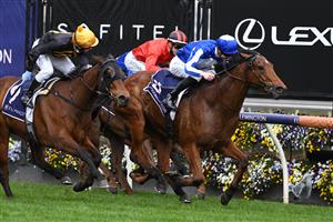MELBOURNE, AUSTRALIA - SEPTEMBER 11: Jye McNeil riding Crystal Bound winning Race 4, the Cap D'Antibes Stakes, during Melbourne Racing at Flemington Racecourse on September 11, 2021 in Melbourne, Australia. (Getty)