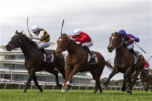 MELBOURNE, AUSTRALIA - SEPTEMBER 11: Damian Lane riding Harbour Views defeats Jye McNeil riding Cherry Tortoni and John Allen riding Ayrton (r) race 5, the The Sofitel, during Melbourne Racing at Flemington Racecourse on September 11, 2021 in Melbourne, Australia. (Photo by Vince Caligiuri/Getty Images)