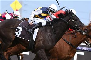 MELBOURNE, AUSTRALIA - SEPTEMBER 11: Damian Lane riding Harbour Views defeats Jye McNeil riding Cherry Tortoni and John Allen riding Ayrton (r) race 5, the The Sofitel, during Melbourne Racing at Flemington Racecourse on September 11, 2021 in Melbourne, Australia. (Photo by Vince Caligiuri/Getty Images)