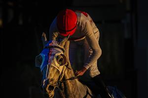 KEMBLA GRANGE, AUSTRALIA - SEPTEMBER 11: Nash Rawiller on Love Tap wins race 10 the Cleanaway Handicap during Sydney Racing at Kembla Grange Racecourse on September 11, 2021 in Kembla Grange, Australia. (Photo by Mark Evans/Getty Images)